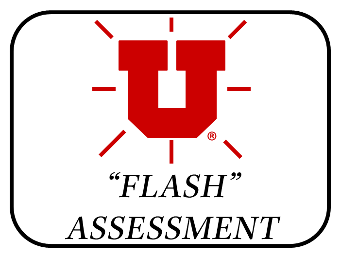 Flash icon